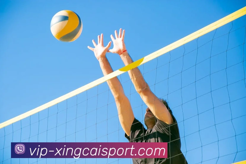 杏彩体育APP 高清赛事图