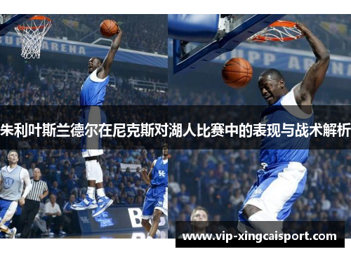 朱利叶斯兰德尔在尼克斯对湖人比赛中的表现与战术解析