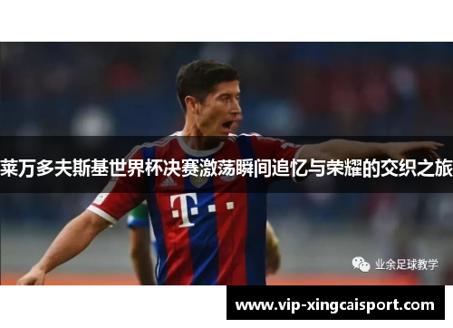 莱万多夫斯基世界杯决赛激荡瞬间追忆与荣耀的交织之旅