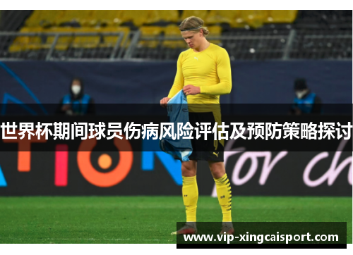 世界杯期间球员伤病风险评估及预防策略探讨