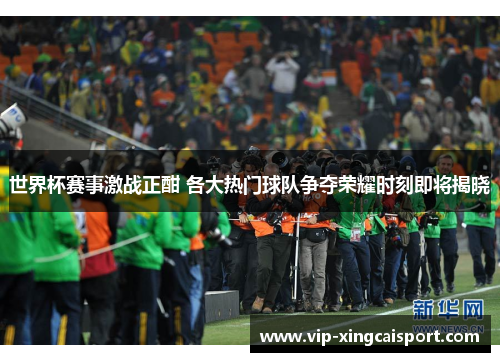 世界杯赛事激战正酣 各大热门球队争夺荣耀时刻即将揭晓