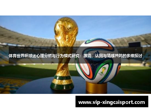 体育世界杯球迷心理分析与行为模式研究：激情、认同与情感共鸣的多维探讨