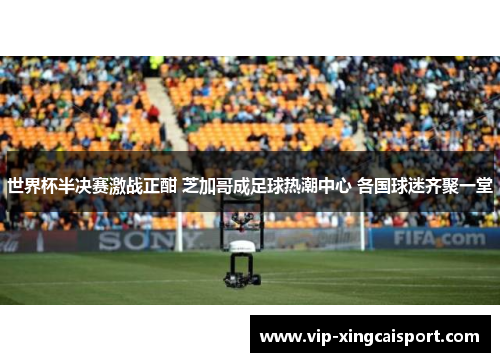 世界杯半决赛激战正酣 芝加哥成足球热潮中心 各国球迷齐聚一堂