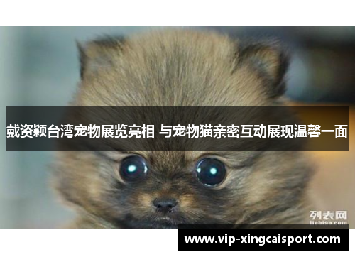 戴资颖台湾宠物展览亮相 与宠物猫亲密互动展现温馨一面