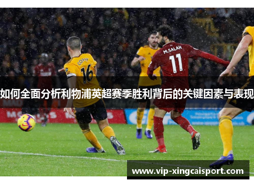 如何全面分析利物浦英超赛季胜利背后的关键因素与表现
