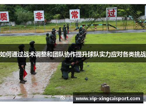 如何通过战术调整和团队协作提升球队实力应对各类挑战