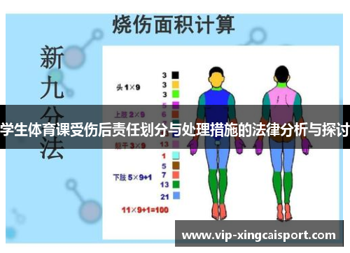 学生体育课受伤后责任划分与处理措施的法律分析与探讨