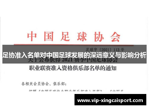 足协准入名单对中国足球发展的深远意义与影响分析