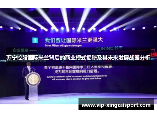 苏宁控股国际米兰背后的商业模式揭秘及其未来发展战略分析