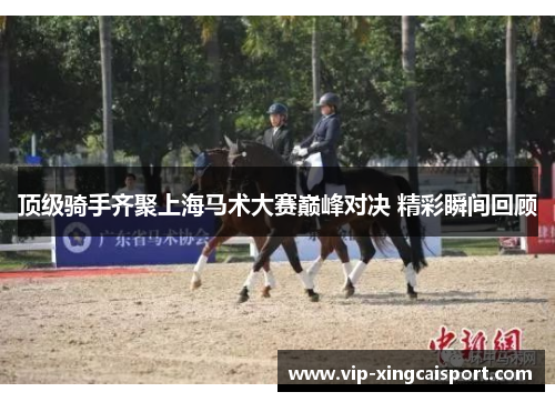 顶级骑手齐聚上海马术大赛巅峰对决 精彩瞬间回顾